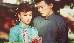 梅花三弄电视剧,情仇交织的乱世传奇